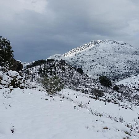 Yunquera Finca Las Morenas المظهر الخارجي الصورة