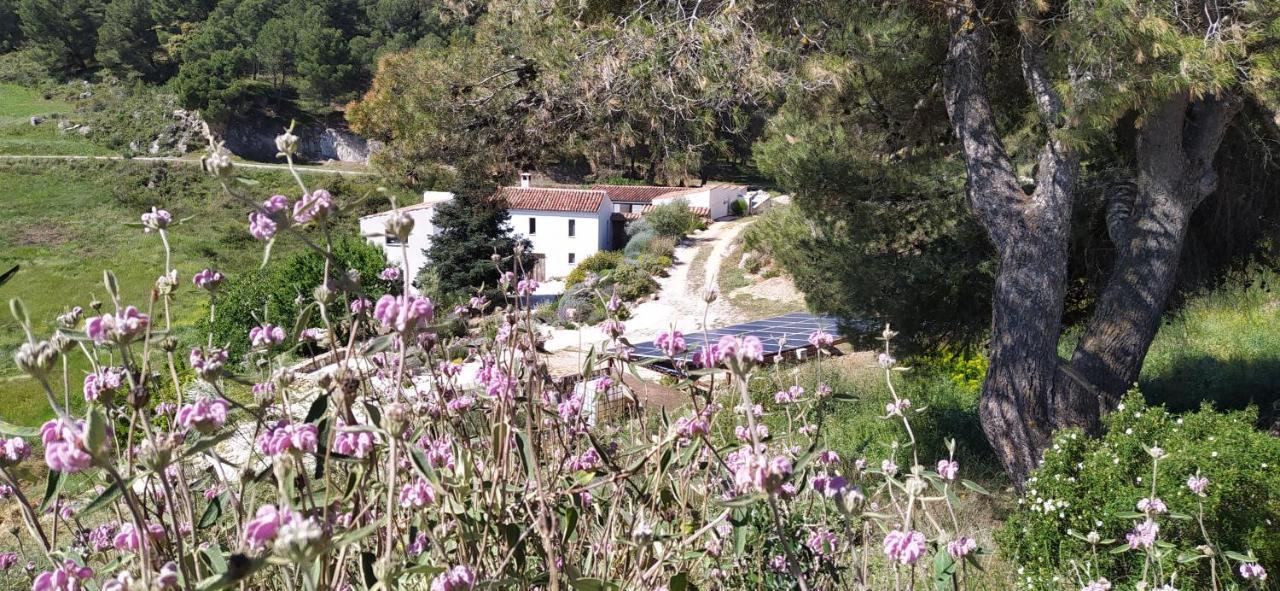 Yunquera Finca Las Morenas المظهر الخارجي الصورة