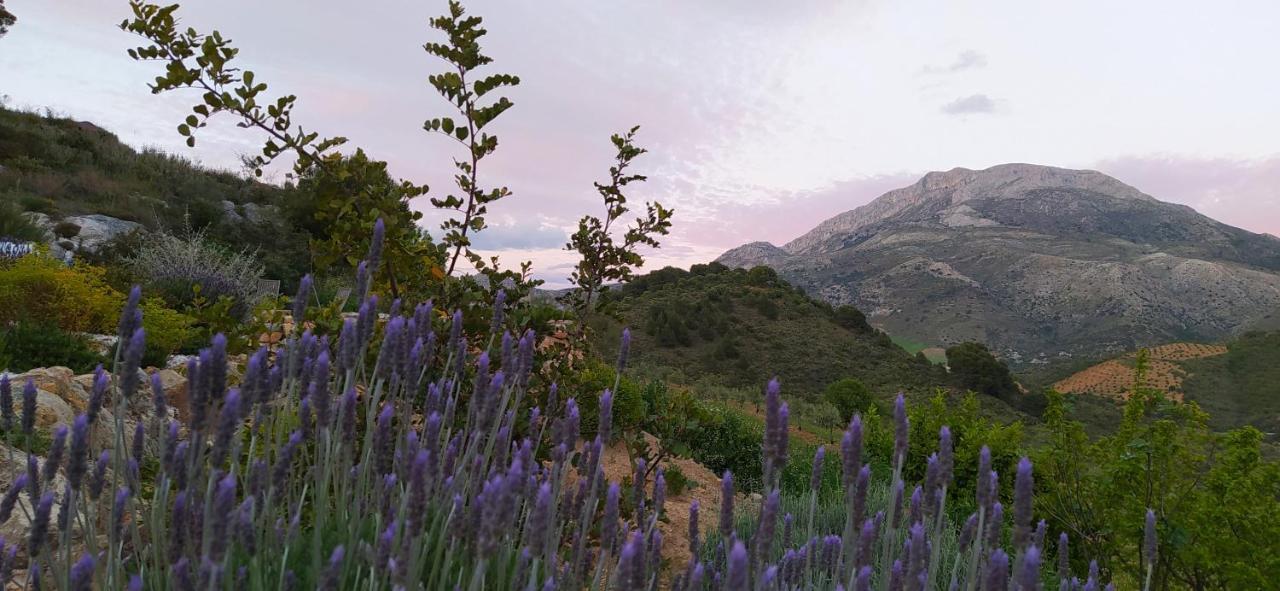 Yunquera Finca Las Morenas المظهر الخارجي الصورة