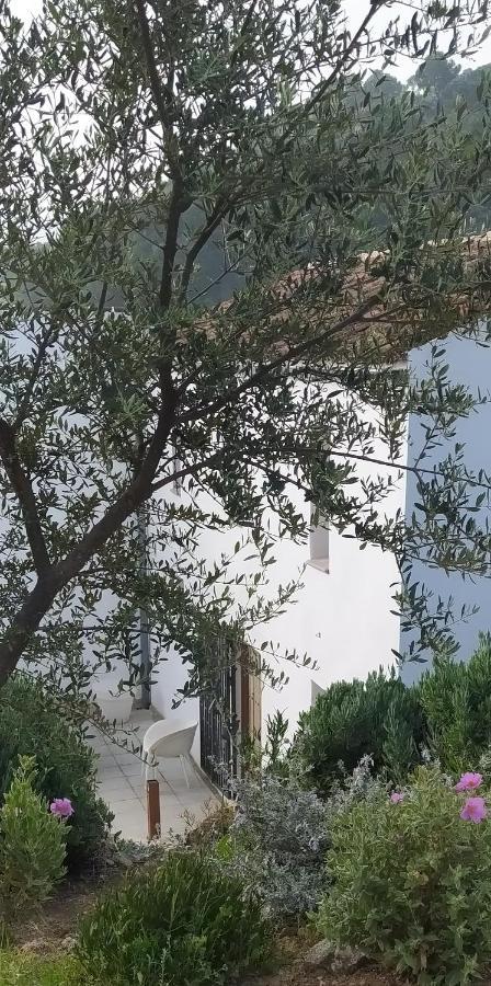 Yunquera Finca Las Morenas المظهر الخارجي الصورة