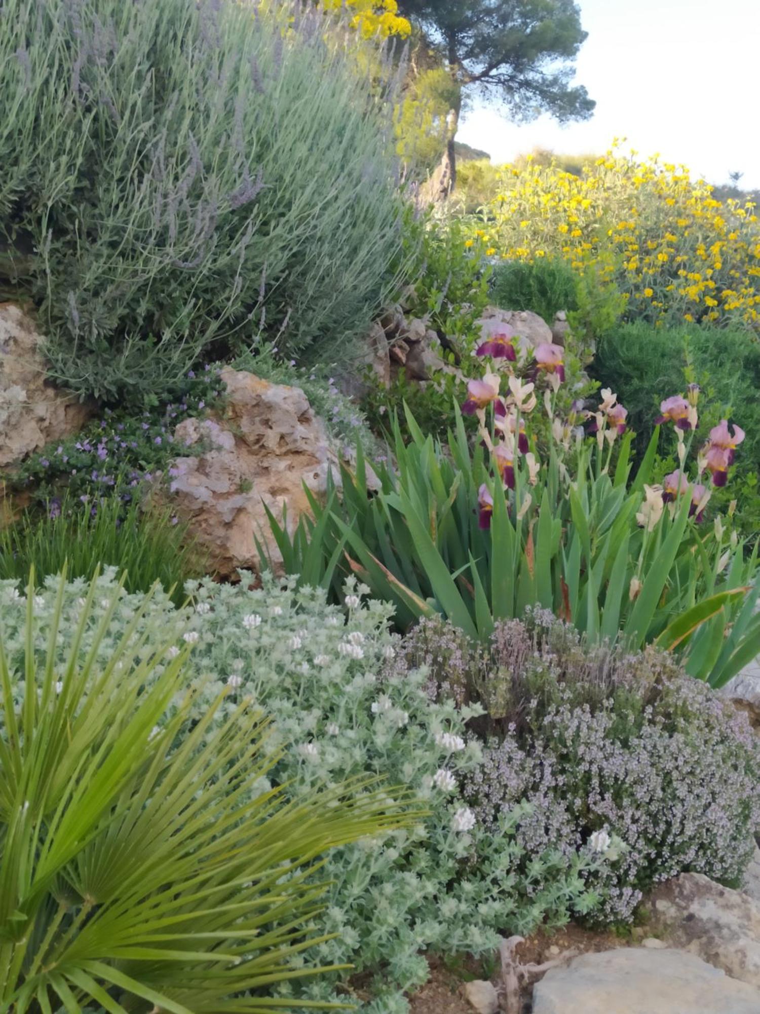 Yunquera Finca Las Morenas المظهر الخارجي الصورة
