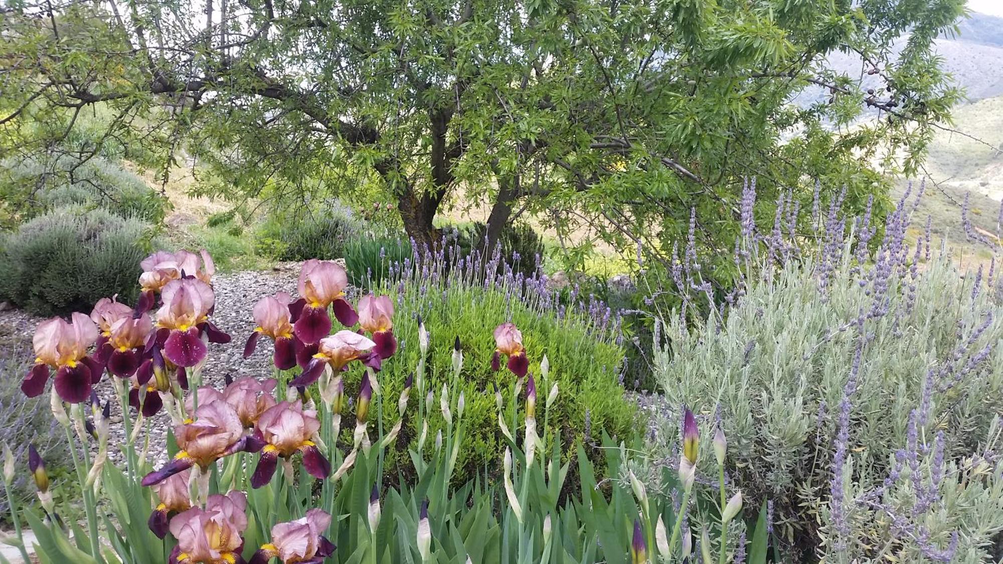 Yunquera Finca Las Morenas المظهر الخارجي الصورة