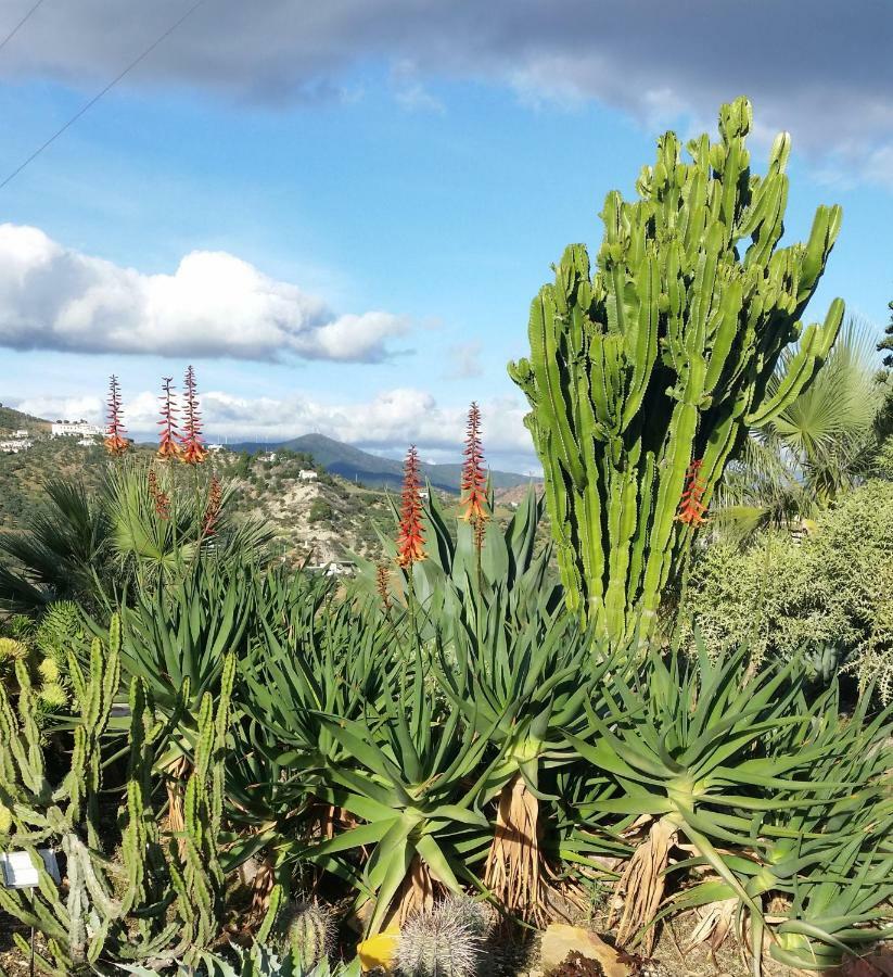 Yunquera Finca Las Morenas المظهر الخارجي الصورة