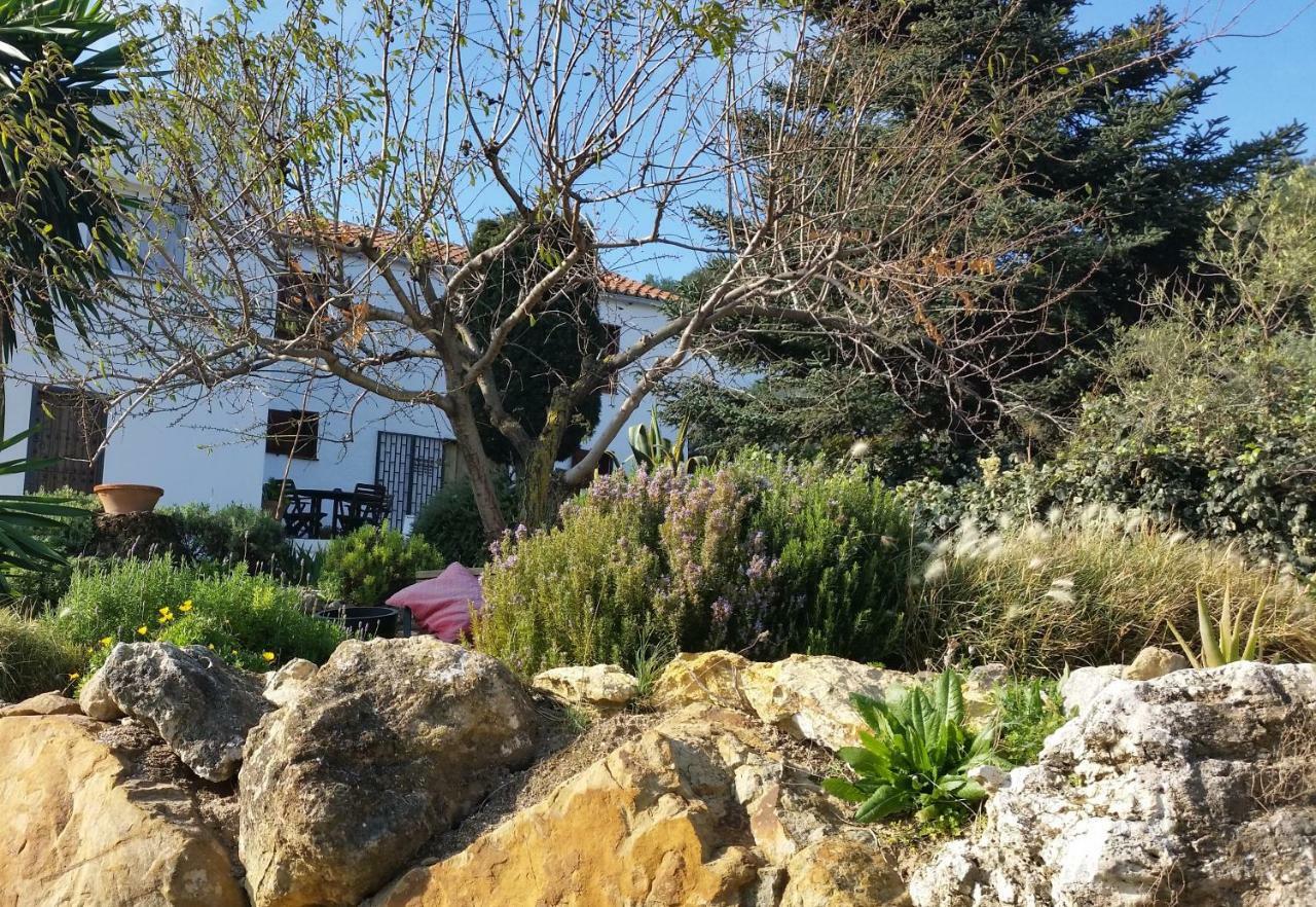 Yunquera Finca Las Morenas المظهر الخارجي الصورة